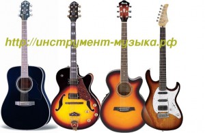 В мире существует различные виды гитар