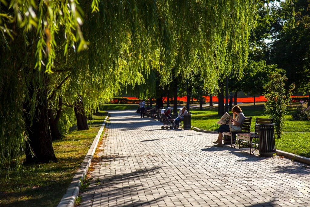 Красивый парк рядом. Новодевичий парк. Парк Новодевичьи пруды. Новодевичий монастырь парк. Новодевичий монастырь парк рядом.